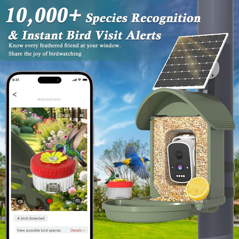 WAVEEME Bird Feeder with Camera, AI Identification, 3K Live View, 2.4G WiFi, Auto Record Videos, Instant Arrival Alerts, Backyard Birdwatching Gift for Birdlovers - Image 3